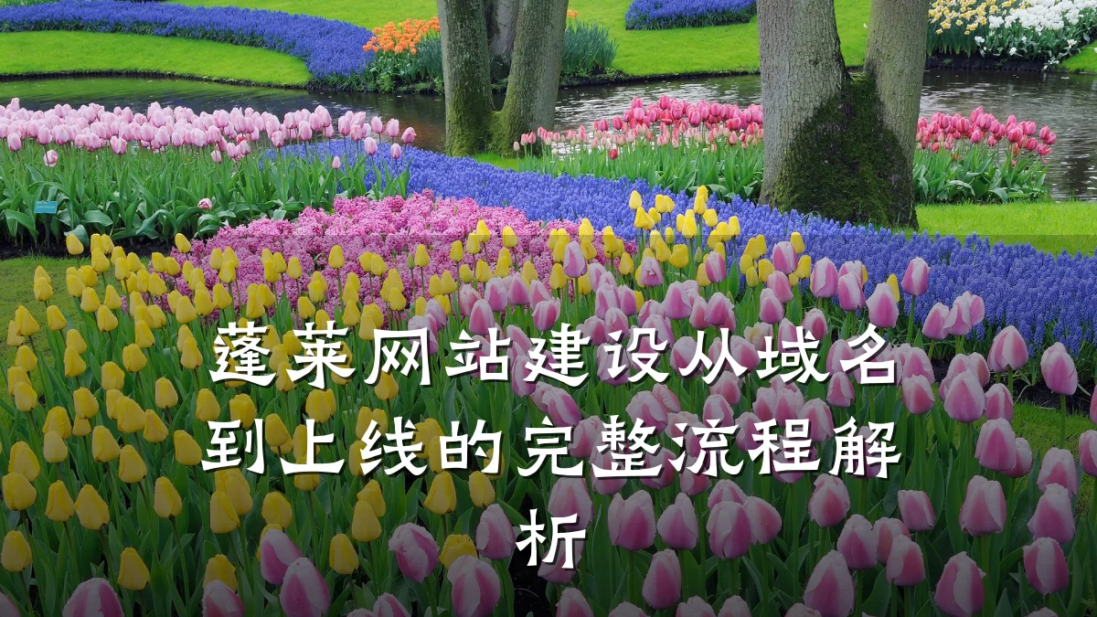 蓬莱网站建设从域名到上线的完整流程解析
