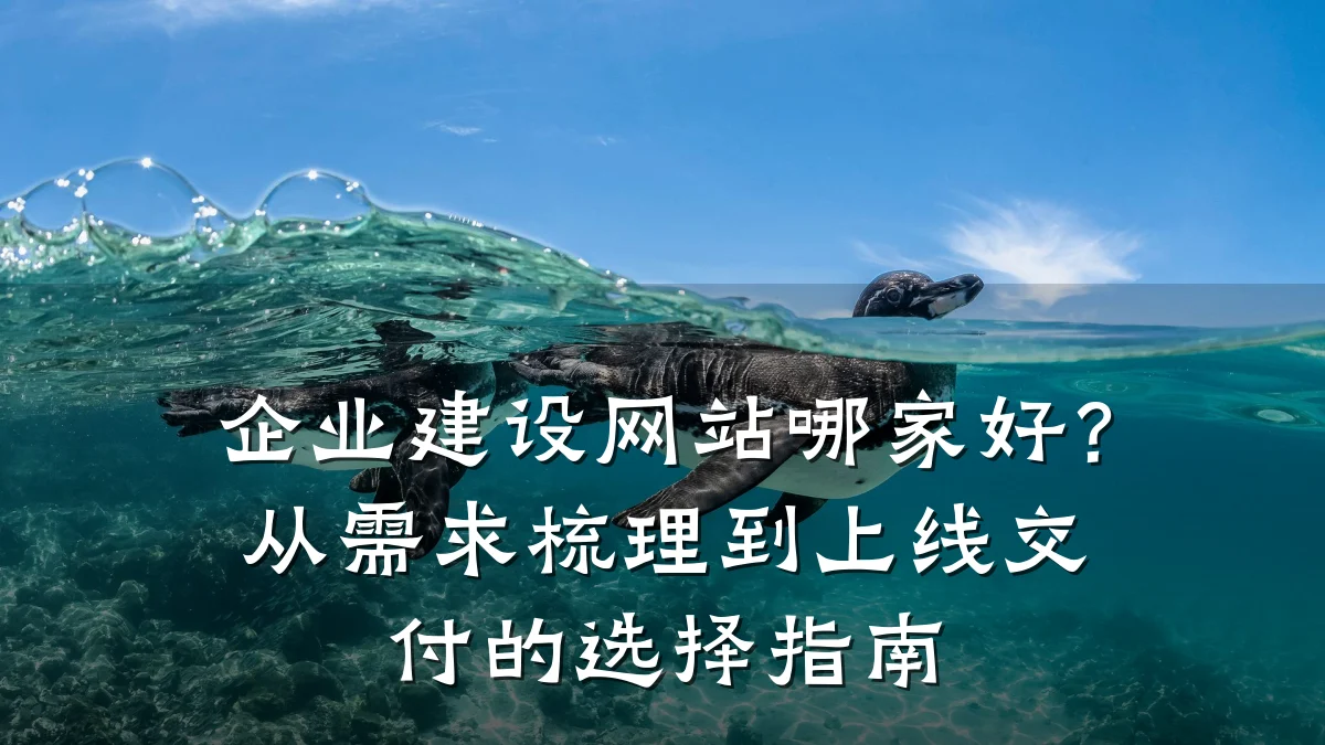 企业建设网站哪家好?从需求梳理到上线交付的选择指南
