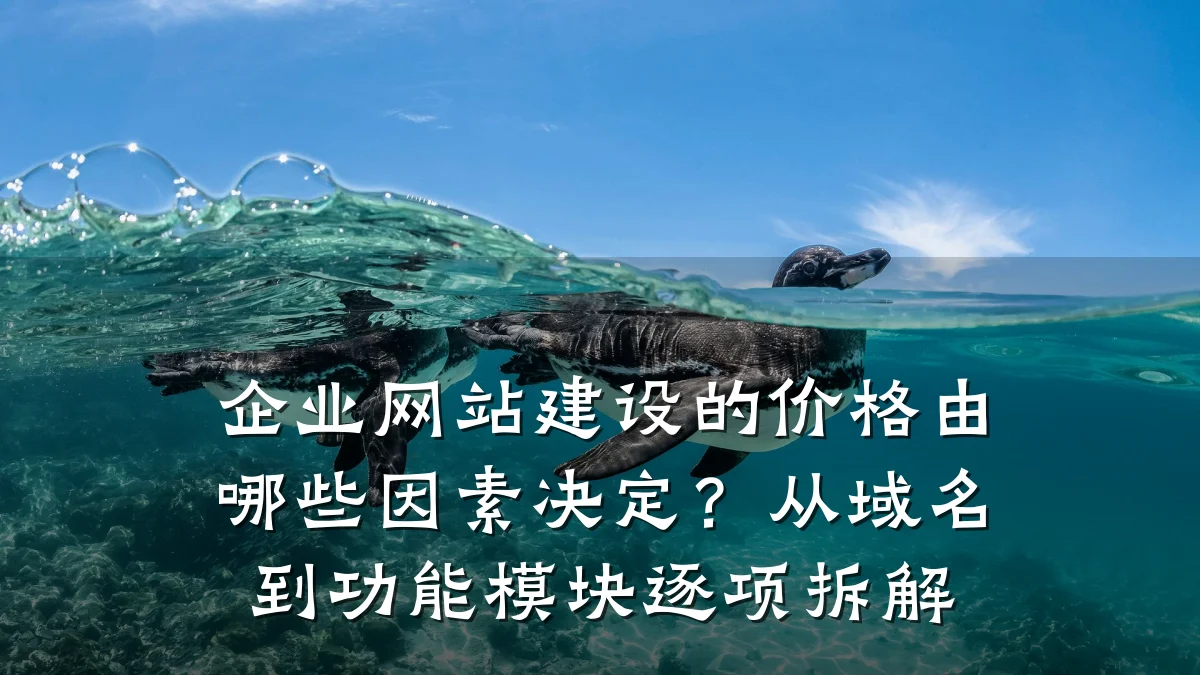 企业网站建设的价格由哪些因素决定?从域名到功能模块逐项拆解