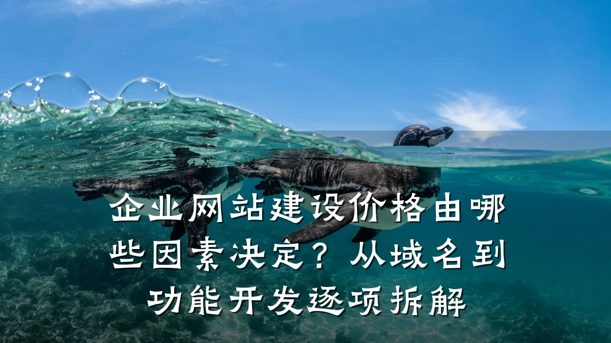 企业网站建设价格由哪些因素决定?从域名到功能开发逐项拆解