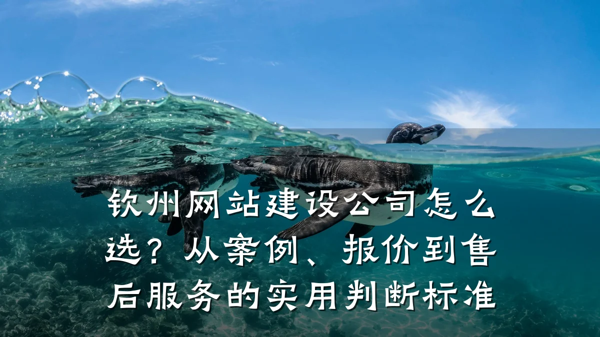 钦州网站建设公司怎么选?从案例、报价到售后服务的实用判断标准