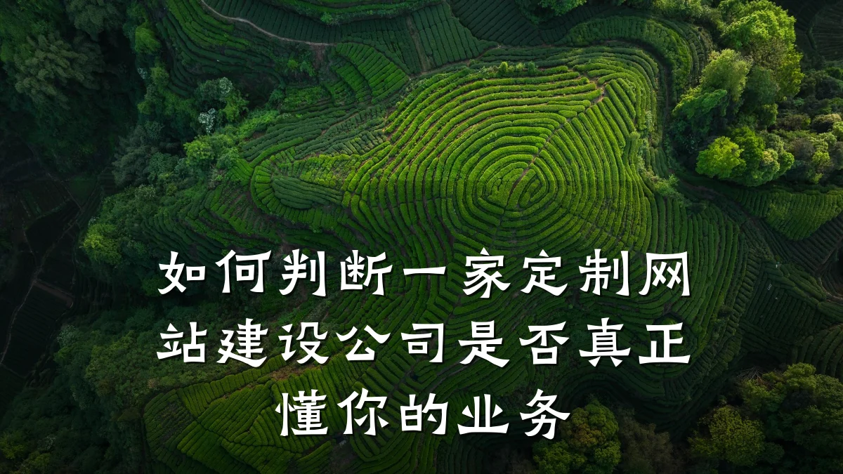 如何判断一家定制网站建设公司是否真正懂你的业务