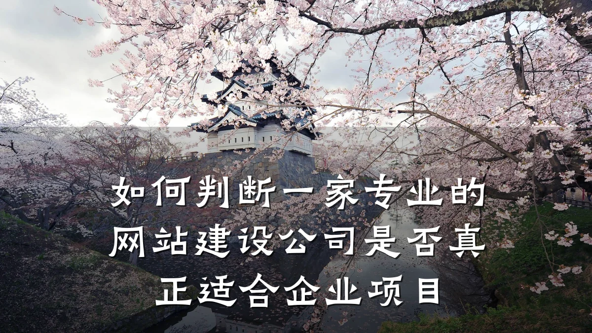 如何判断一家专业的网站建设公司是否真正适合企业项目