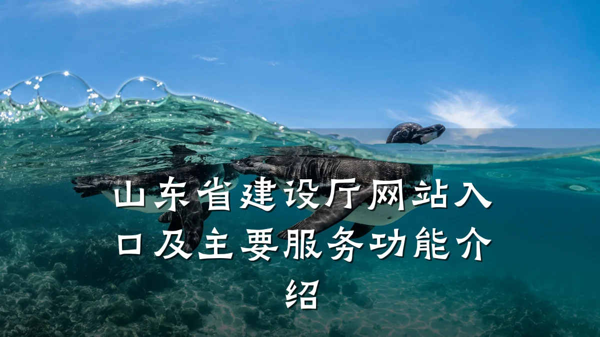 山东省建设厅网站入口及主要服务功能介绍