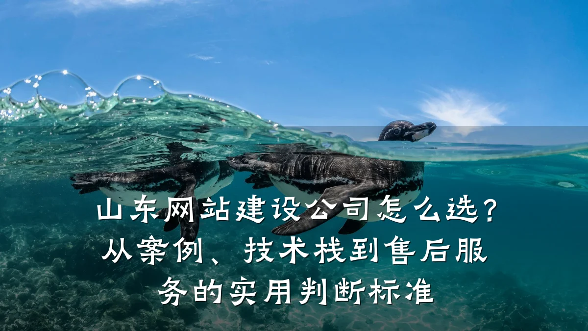 山东网站建设公司怎么选？从案例、技术栈到售后服务的实用判断标准