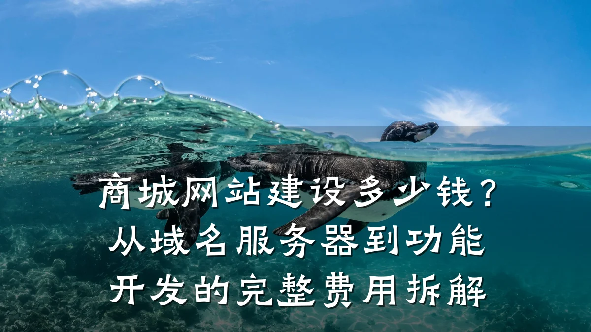 商城网站建设多少钱?从域名服务器到功能开发的完整费用拆解