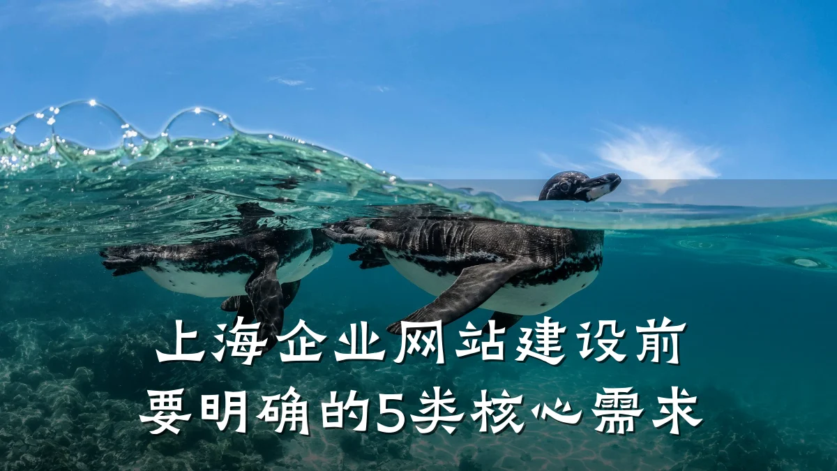 上海企业网站建设前要明确的5类核心需求