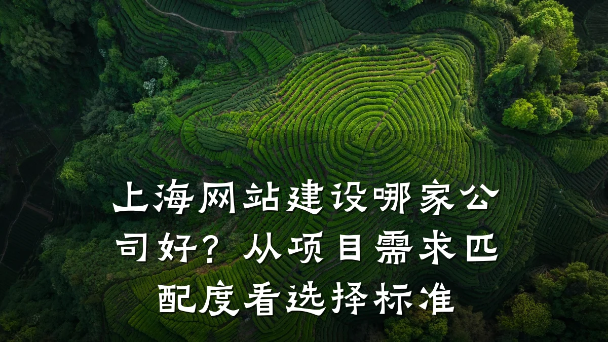 上海网站建设哪家公司好?从项目需求匹配度看选择标准