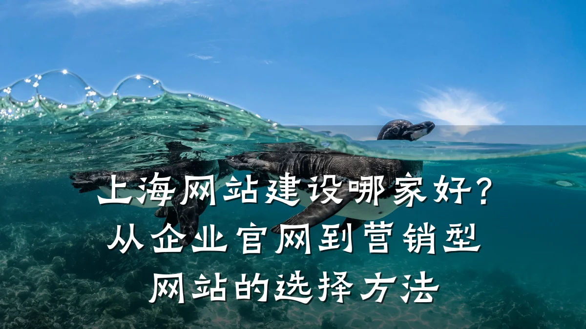 上海网站建设哪家好?从企业官网到营销型网站的选择方法