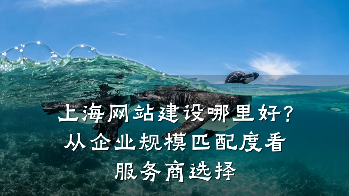 上海网站建设哪里好？从企业规模匹配度看服务商选择