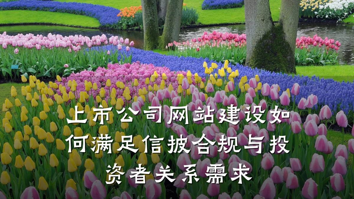 上市公司网站建设如何满足信披合规与投资者关系需求