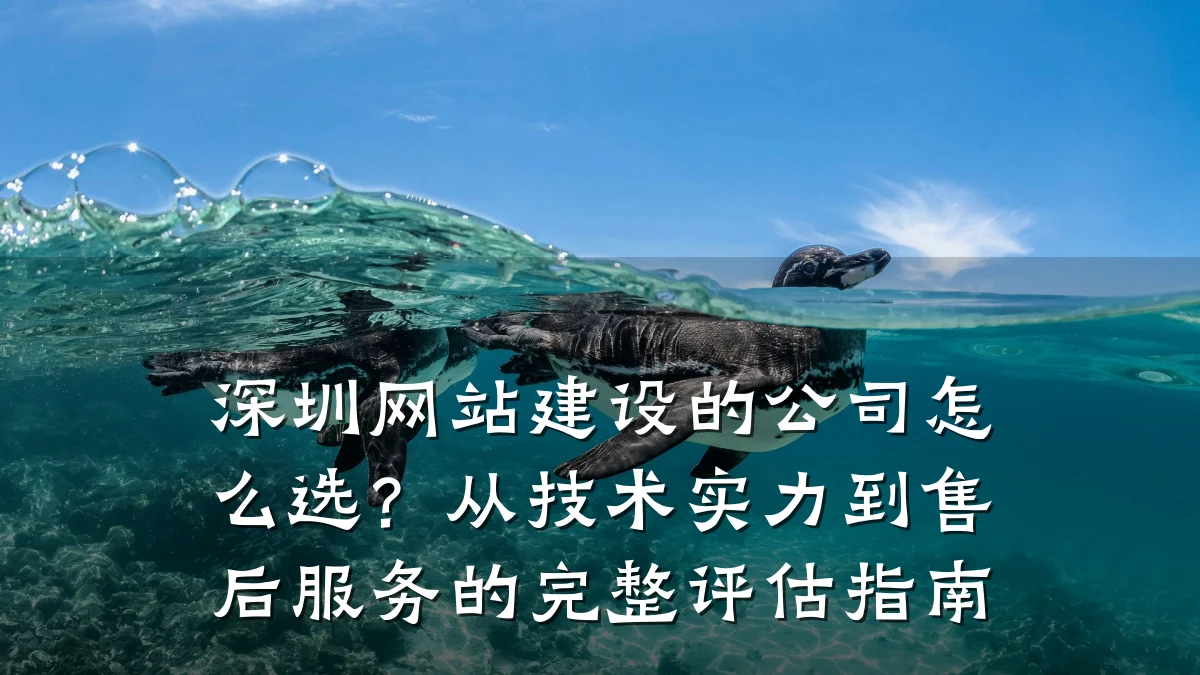 深圳网站建设的公司怎么选?从技术实力到售后服务的完整评估指南