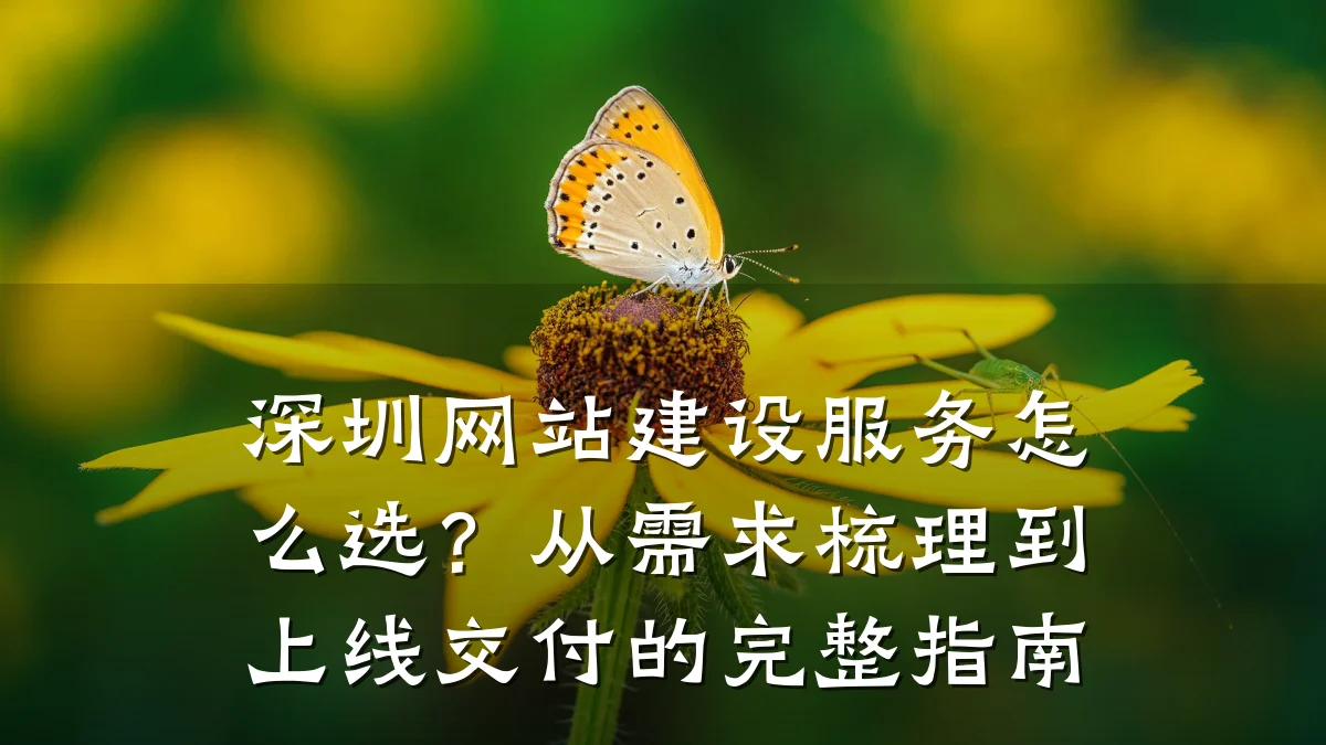 深圳网站建设服务怎么选?从需求梳理到上线交付的完整指南