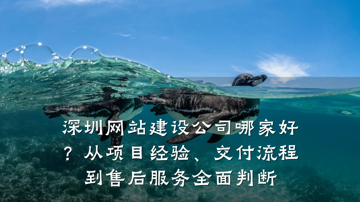 深圳网站建设公司哪家好?从项目经验、交付流程到售后服务全面判断