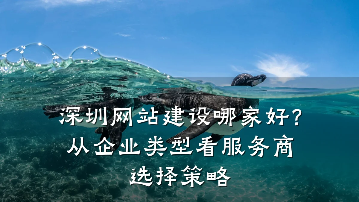 深圳网站建设哪家好?从企业类型看服务商选择策略