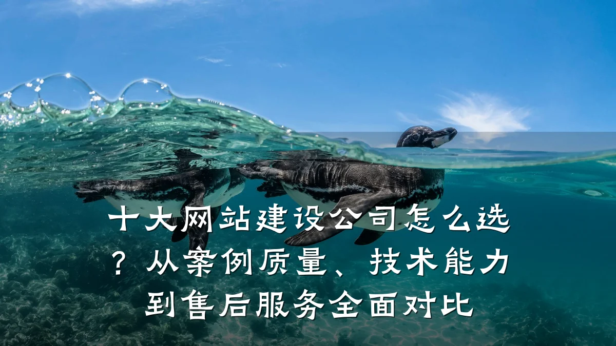 十大网站建设公司怎么选？从案例质量、技术能力到售后服务全面对比