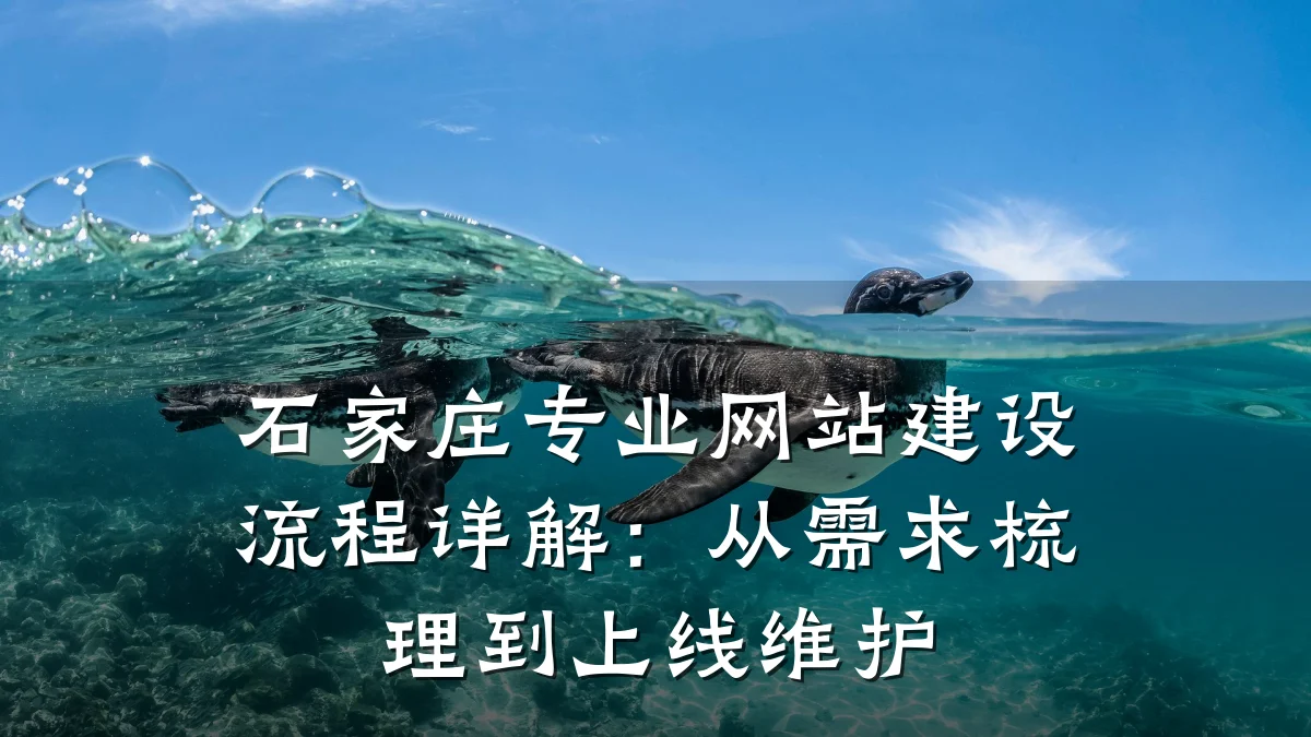 石家庄专业网站建设流程详解:从需求梳理到上线维护