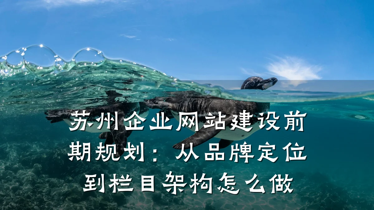苏州企业网站建设前期规划：从品牌定位到栏目架构怎么做