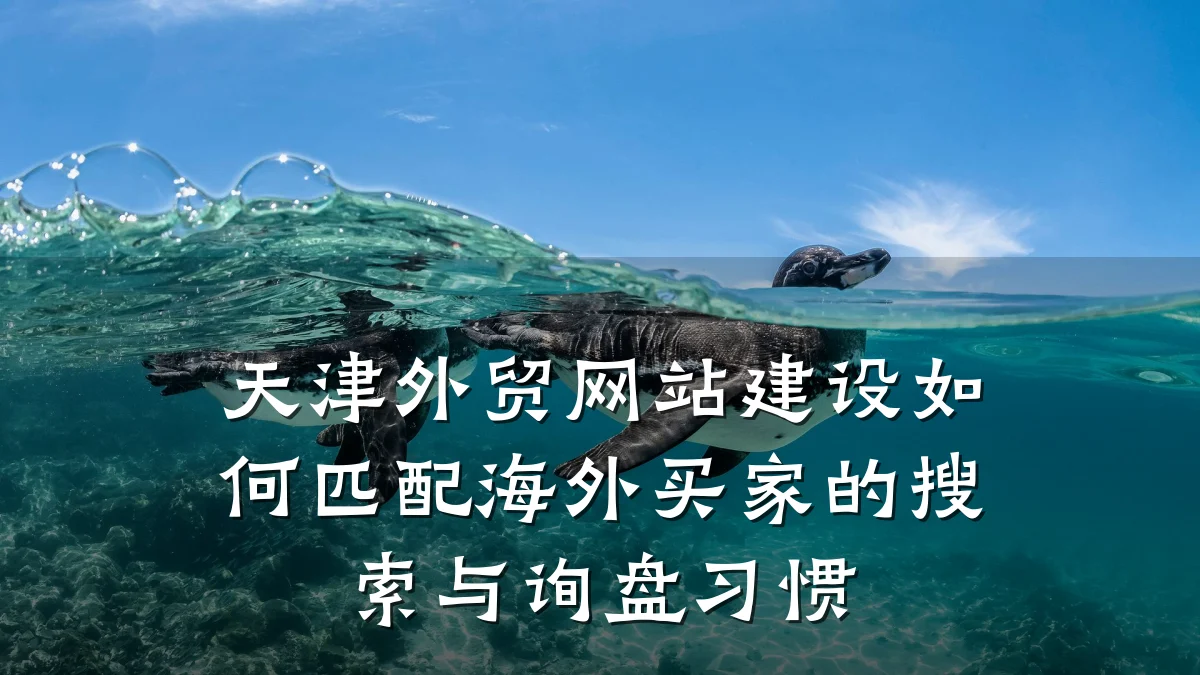 天津外贸网站建设如何匹配海外买家的搜索与询盘习惯