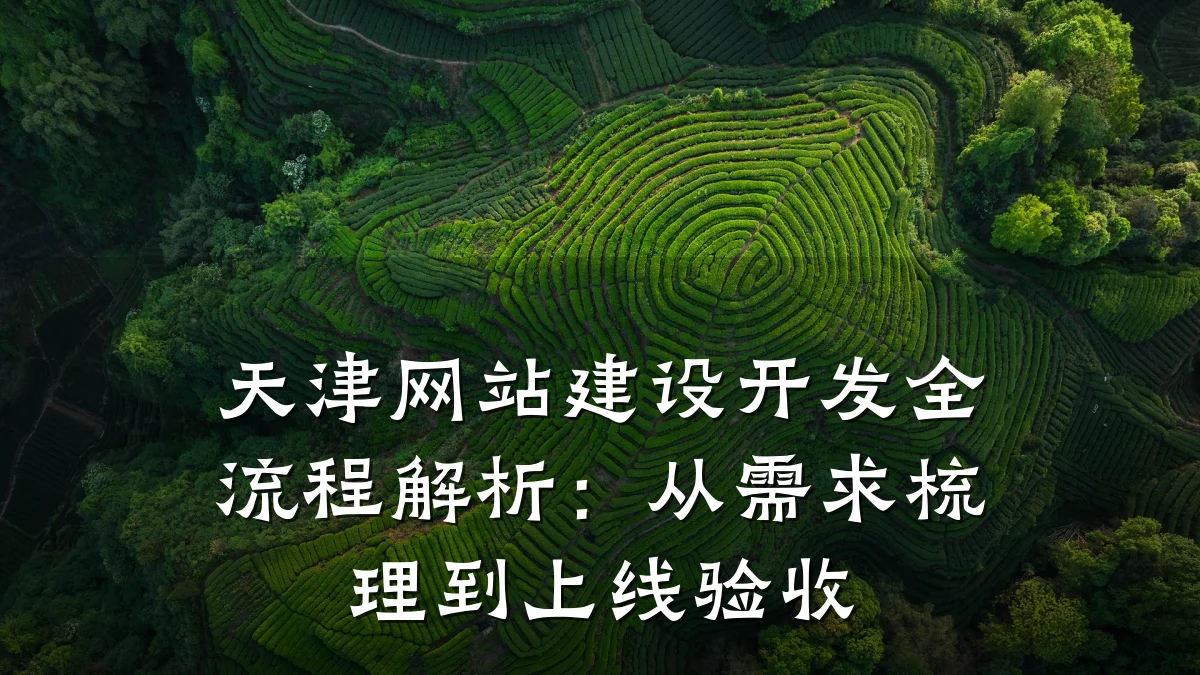 天津网站建设开发全流程解析：从需求梳理到上线验收