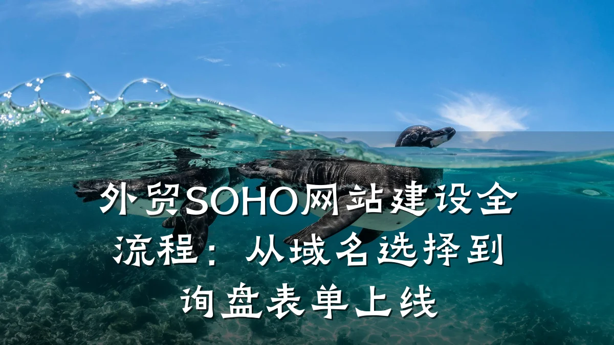 外贸SOHO网站建设全流程:从域名选择到询盘表单上线