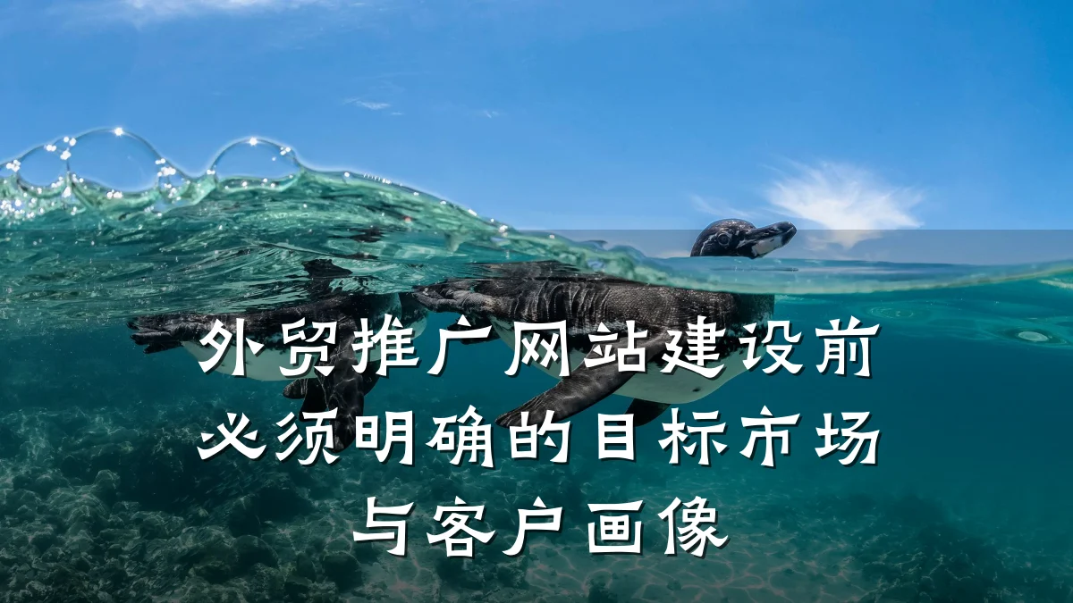 外贸推广网站建设前必须明确的目标市场与客户画像