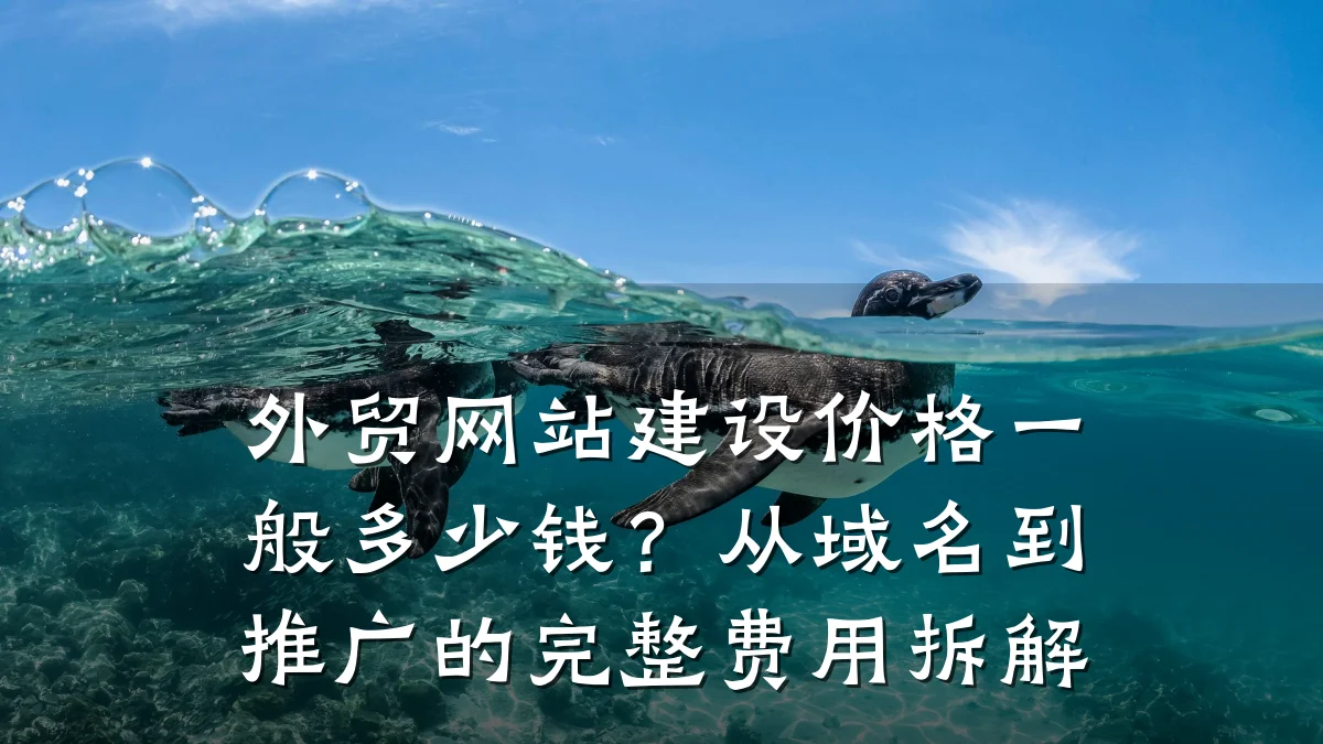 外贸网站建设价格一般多少钱?从域名到推广的完整费用拆解