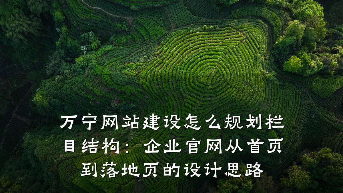 万宁网站建设怎么规划栏目结构：企业官网从首页到落地页的设计思路