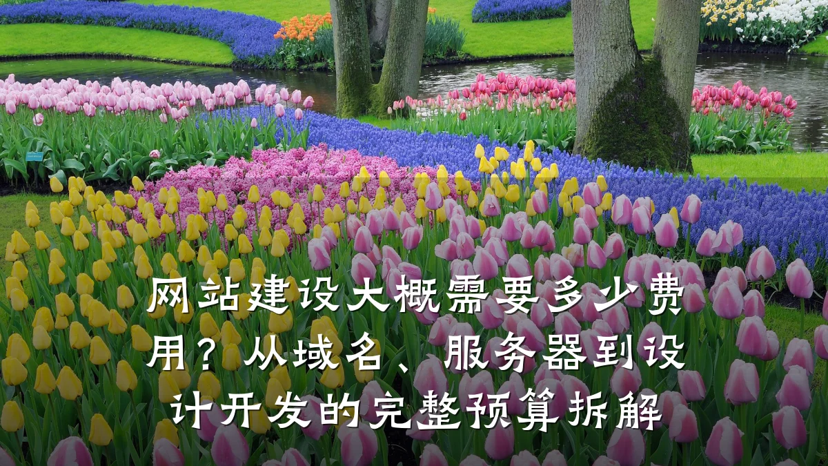 网站建设大概需要多少费用?从域名、服务器到设计开发的完整预算拆解