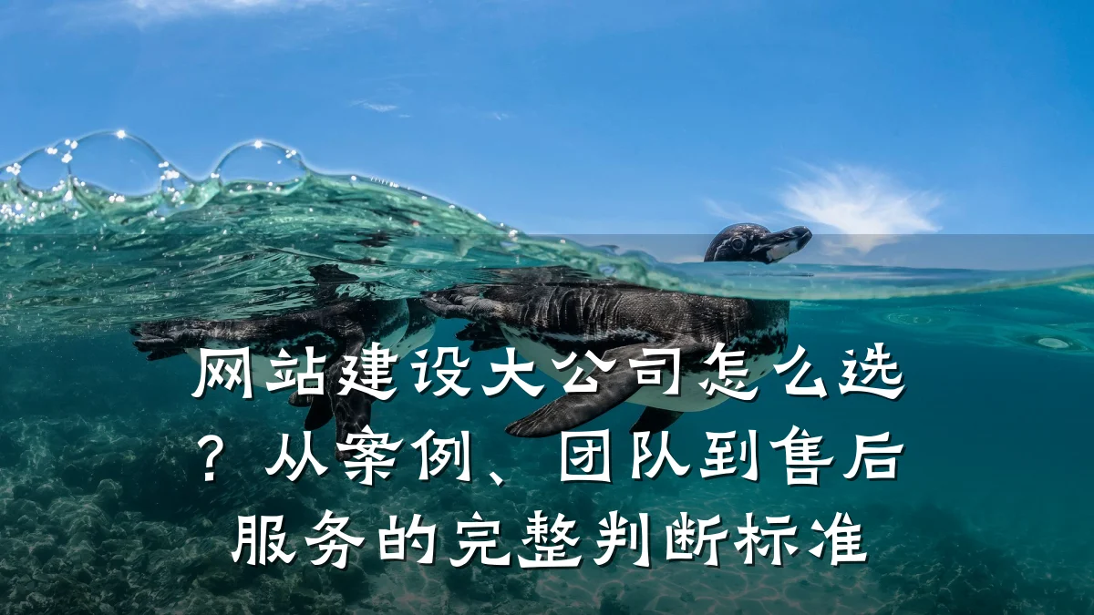 网站建设大公司怎么选?从案例、团队到售后服务的完整判断标准