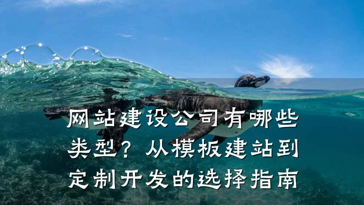 网站建设公司有哪些类型?从模板建站到定制开发的选择指南