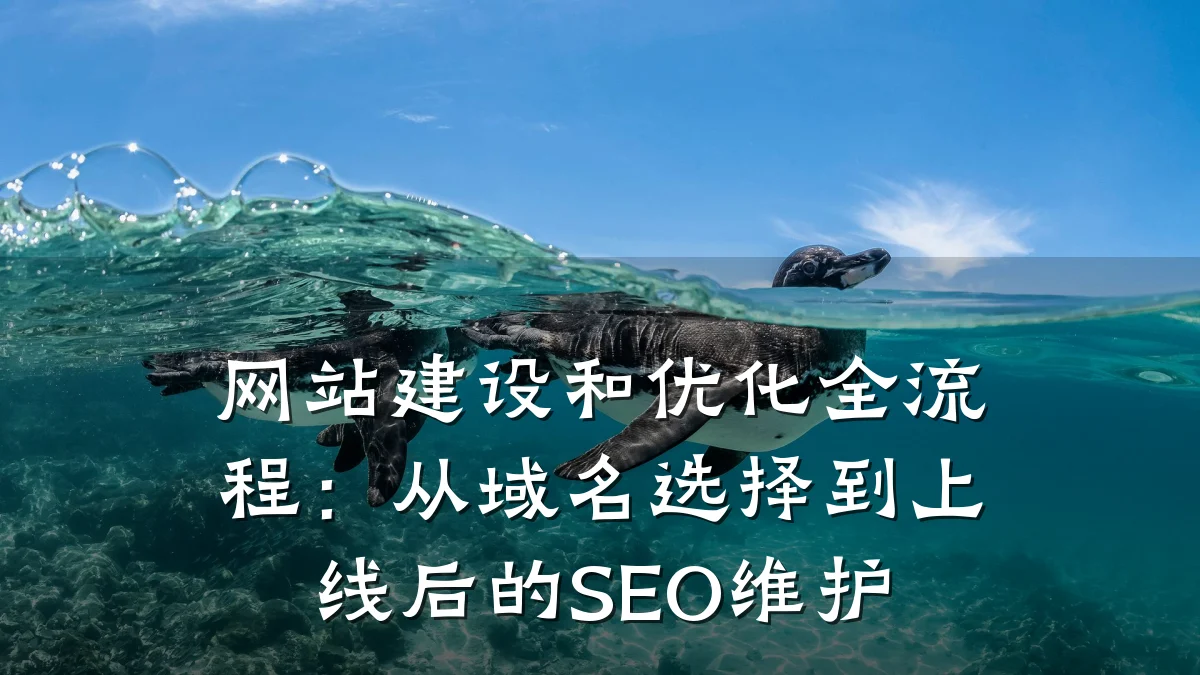 网站建设和优化全流程:从域名选择到上线后的SEO维护