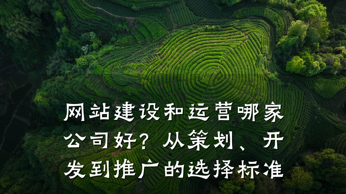 网站建设和运营哪家公司好?从策划、开发到推广的选择标准