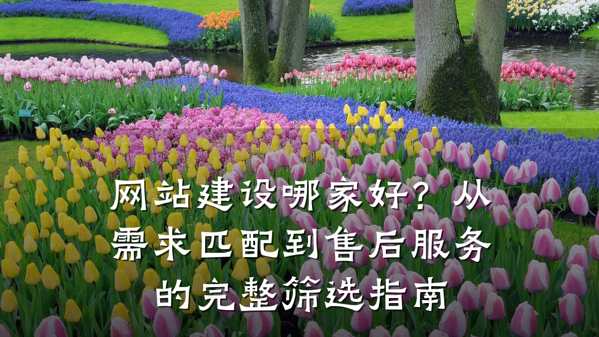 网站建设哪家好？从需求匹配到售后服务的完整筛选指南
