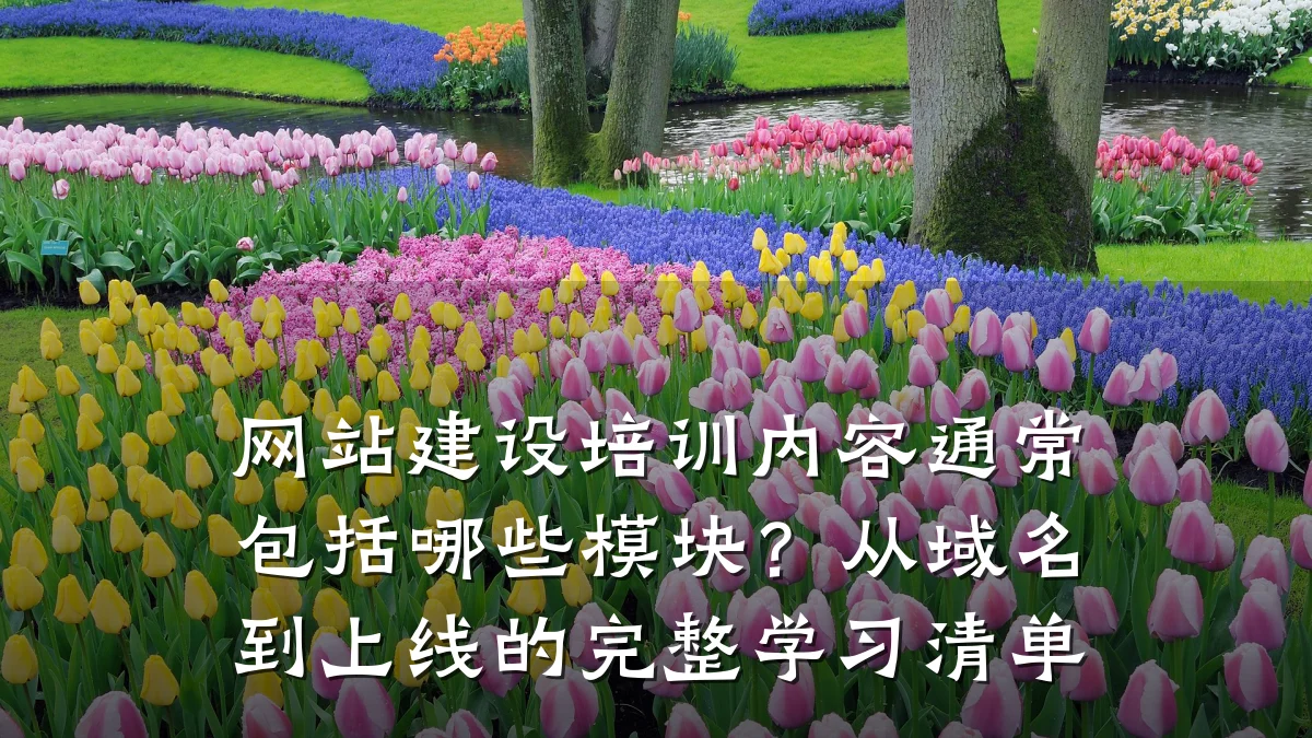 网站建设培训内容通常包括哪些模块?从域名到上线的完整学习清单