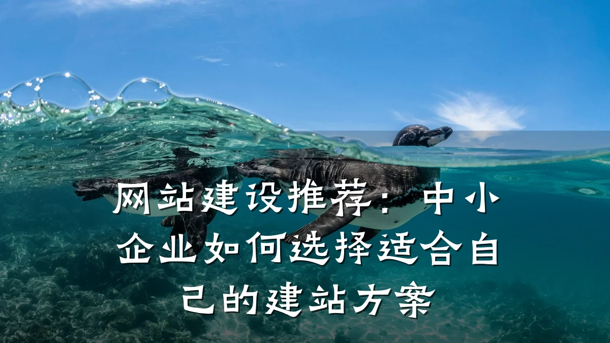 网站建设推荐:中小企业如何选择适合自己的建站方案