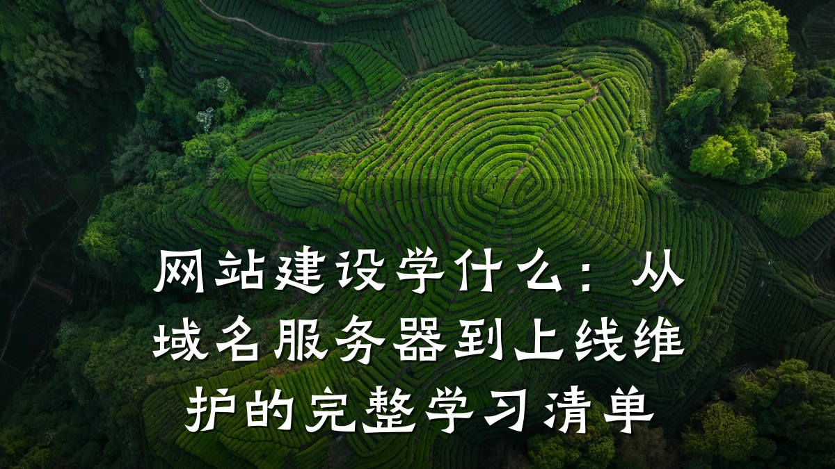 网站建设学什么:从域名服务器到上线维护的完整学习清单