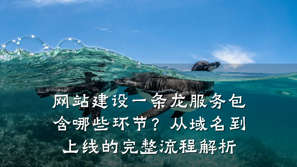 网站建设一条龙服务包含哪些环节?从域名到上线的完整流程解析
