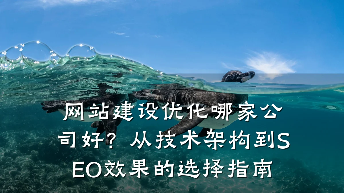 网站建设优化哪家公司好？从技术架构到SEO效果的选择指南