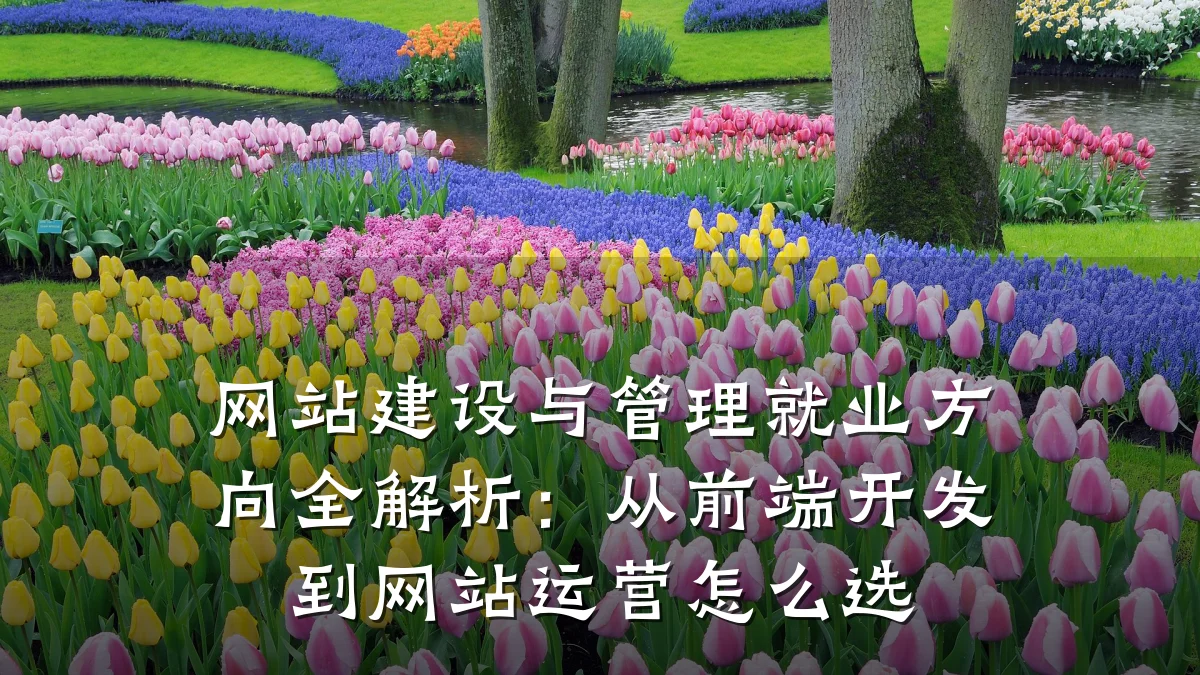 网站建设与管理就业方向全解析:从前端开发到网站运营怎么选