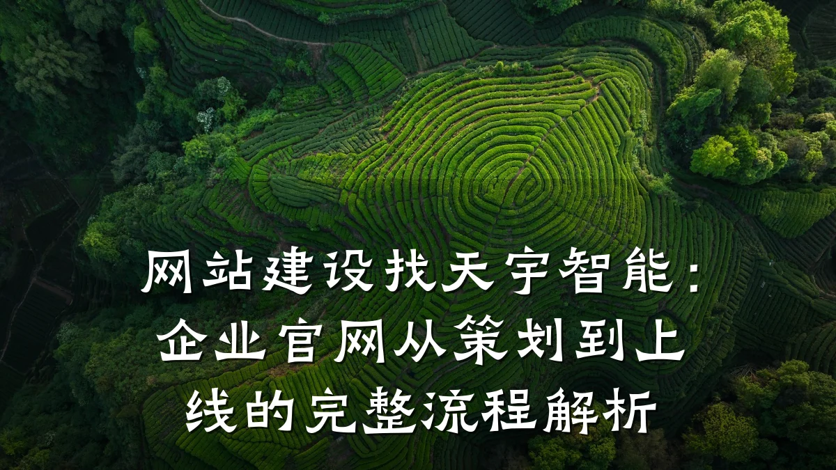 网站建设找天宇智能:企业官网从策划到上线的完整流程解析