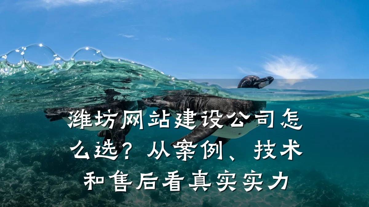 潍坊网站建设公司怎么选？从案例、技术和售后看真实实力