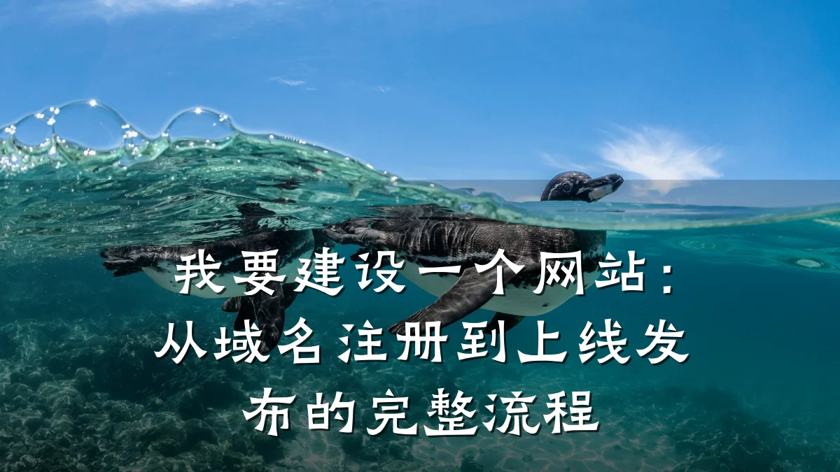 我要建设一个网站:从域名注册到上线发布的完整流程
