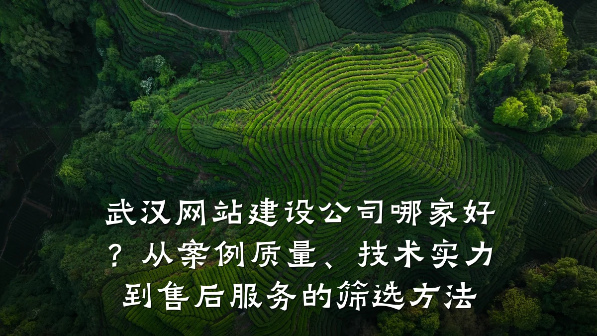 武汉网站建设公司哪家好?从案例质量、技术实力到售后服务的筛选方法