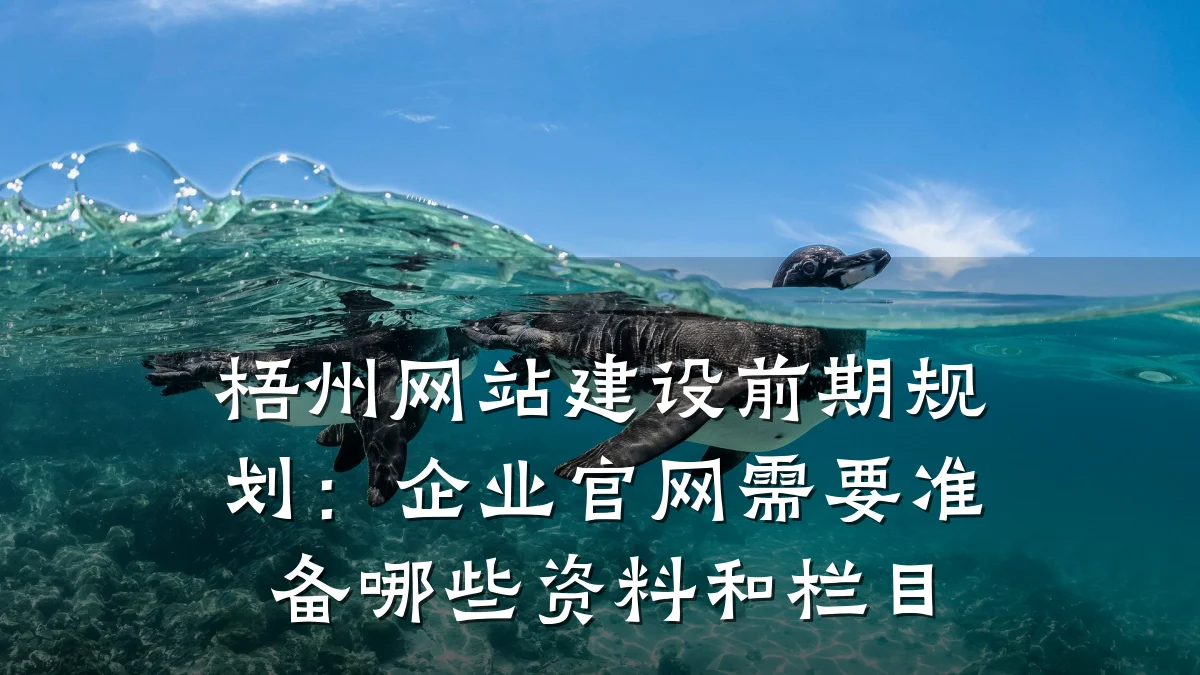 梧州网站建设前期规划：企业官网需要准备哪些资料和栏目