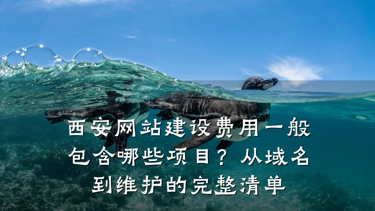西安网站建设费用一般包含哪些项目？从域名到维护的完整清单