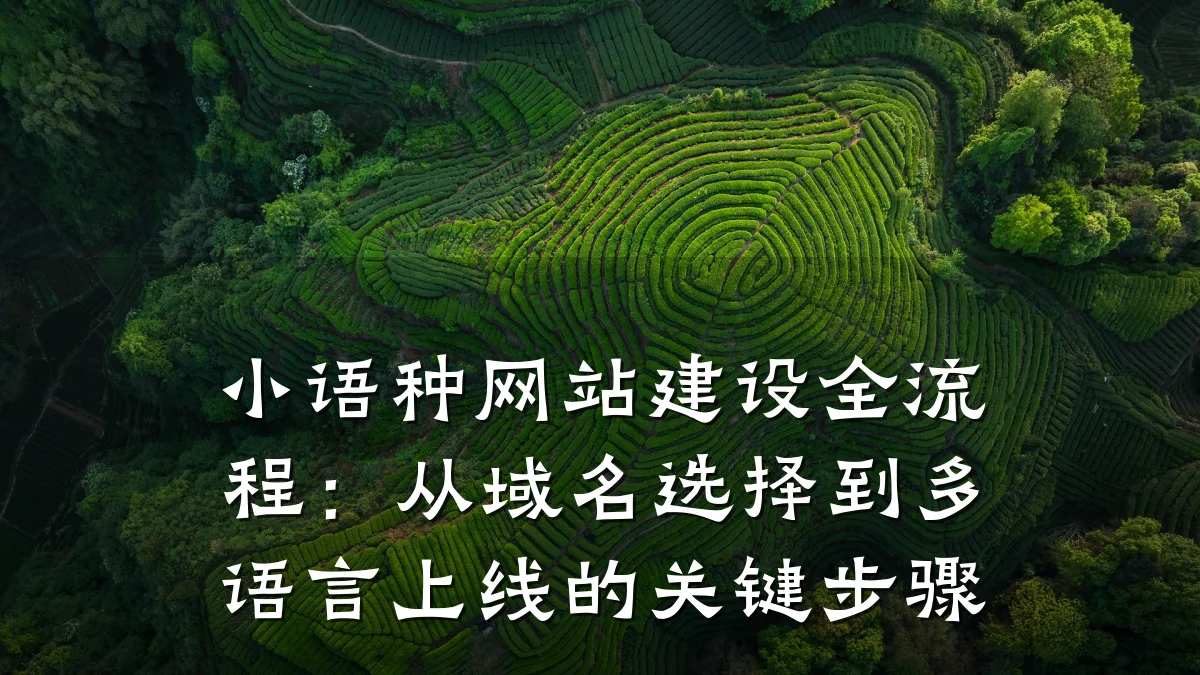 小语种网站建设全流程:从域名选择到多语言上线的关键步骤
