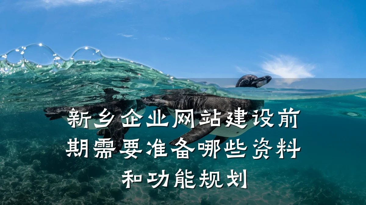 新乡企业网站建设前期需要准备哪些资料和功能规划