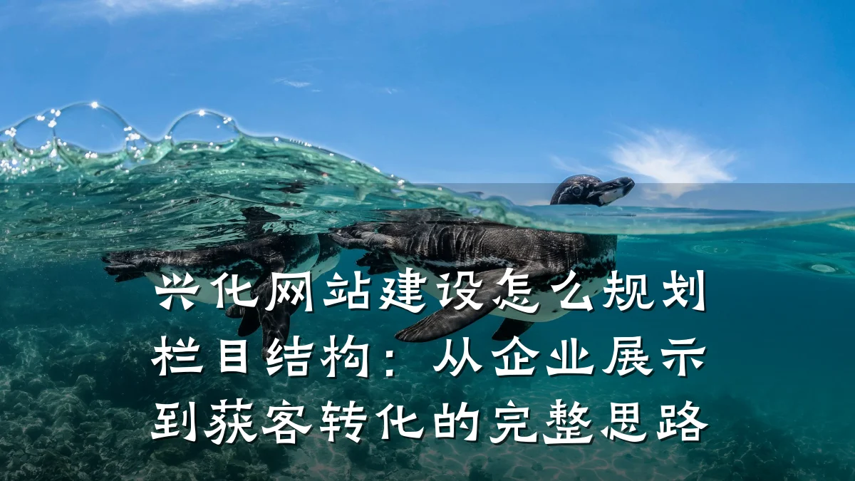 兴化网站建设怎么规划栏目结构:从企业展示到获客转化的完整思路