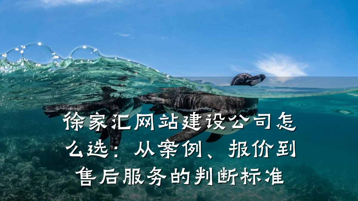 徐家汇网站建设公司怎么选:从案例、报价到售后服务的判断标准